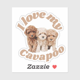 Pegatina Me Encanto Mi Dueño De Cavapoo Perro Lover Cavoodl