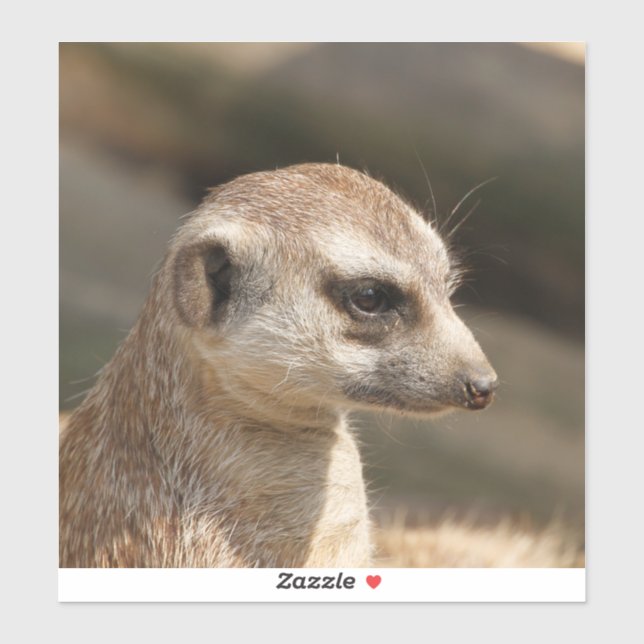Pegatina Meerkat 048 (Hoja)