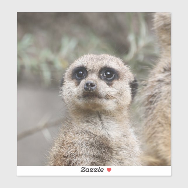 Pegatina Meerkat 082 (Hoja)