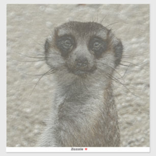 Pegatina Meerkat metalizado
