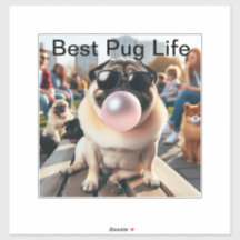Mejor vida de pug