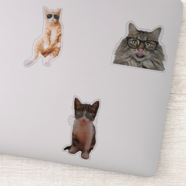 Pegatina Memes de Guay Cat (Detalle)