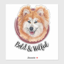 Mi Akita... audaz y doloroso