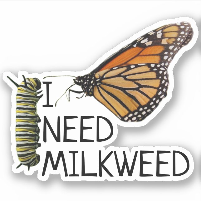 Pegatina Milkweed For Monarch Butterflies (Anverso)