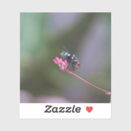 Pegatina Mosca en rosa