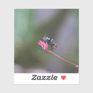 Pegatina Mosca en rosa