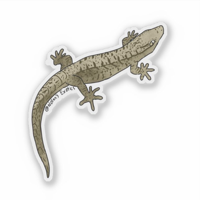 Pegatina Mourning gecko vinyl sticker (Anverso)