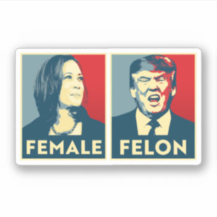 Pegatina Mujeres vs Felon