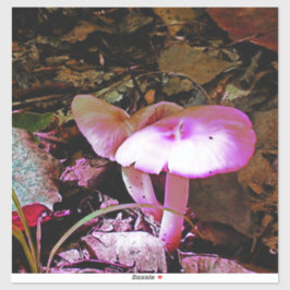 Pegatina Mushroom rosa