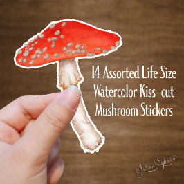 Pegatina Mushrooms Red Spots Watercolor