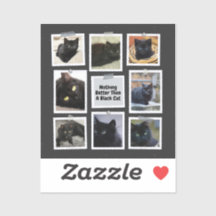 Nada Mejor Que Un Gato Negro