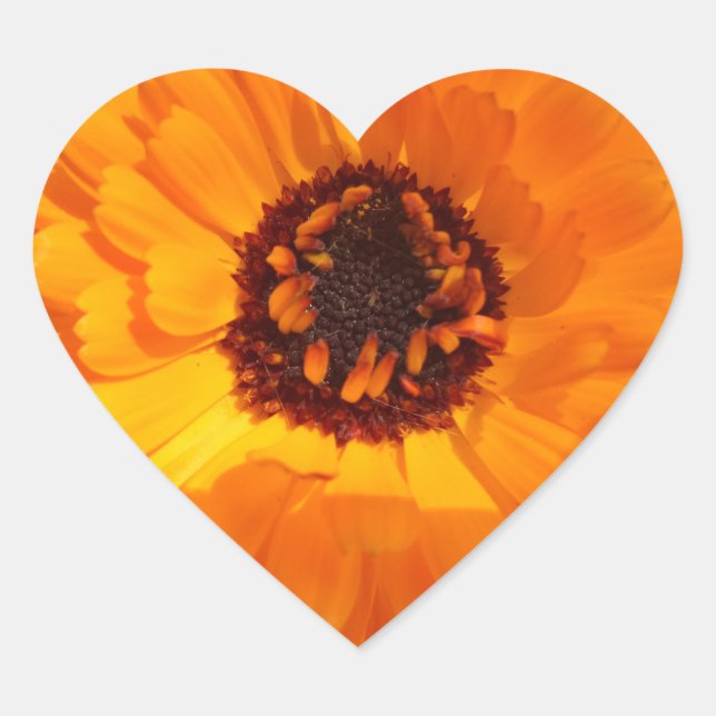 Pegatina naranja del Corazón de Flor (Anverso)