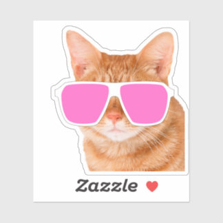 Pegatina Naranja gracioso Tabby Cat Peeking