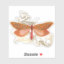 Naranja Harvest Butterfly