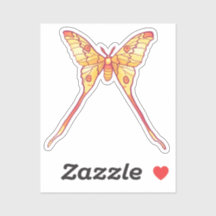 Naranja Luna Moth Art - Arte de Insectos Coloridos