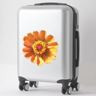 Pegatina Naranja zinnia flor de primer orden