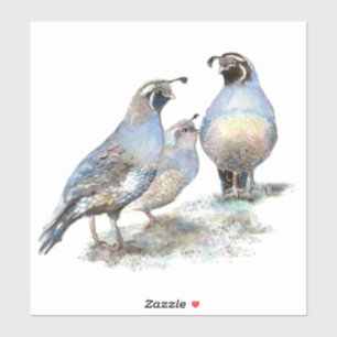 Pegatina Naturaleza de aves acuáticas California Quail Bird