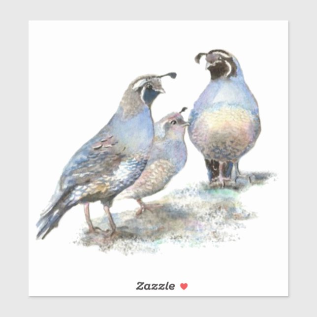 Pegatina Naturaleza de aves acuáticas California Quail Bird (Hoja)