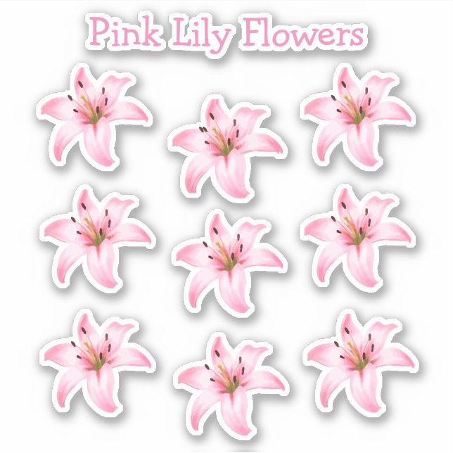 Pegatina Naturaleza de las flores de lirio rosa (Anverso)