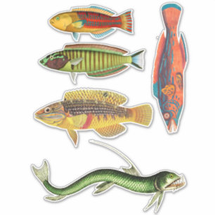 Pegatina Naturaleza de los peces de colores Animales oceáni