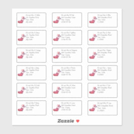 Pegatina Navidades Cuidados Almacenando Nombre y Dirección 