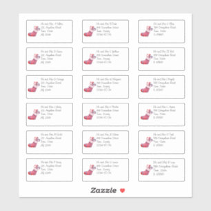 Pegatina Navidades Cuidados Almacenando Nombre y Dirección