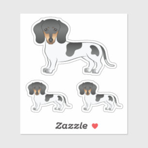 Pegatina Negro Y Tan Piebald Corto Cabello Dachshund Perro