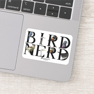 Pegatina Nerd de aves - Diversas especies