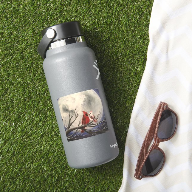 Pegatina nocturno con luz solar (HydroFlask Insitu)