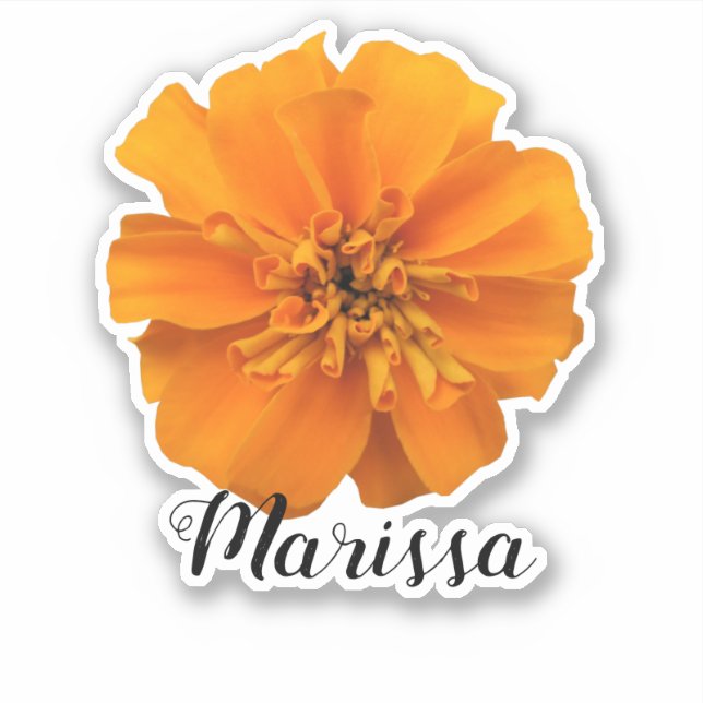 Pegatina Nombre de Marigold naranja (Anverso)