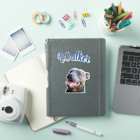 Nombre de Walker con Staffy Bull Terrier,