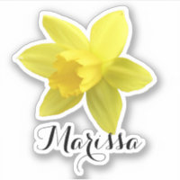 Nombre del Daffodil Amarillo