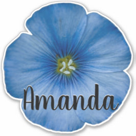 Pegatina Nombre del Monograma Azul Flor Naturaleza Planta d