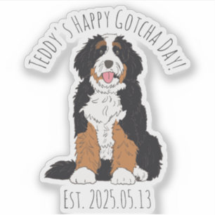 Pegatina Nombre Personalizado & Fecha Bernedoodle Feliz Día