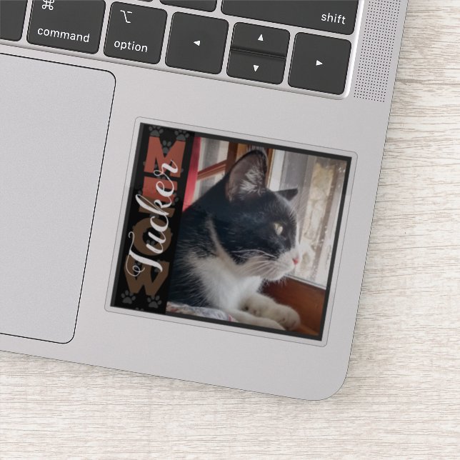 Pegatina Nombre personalizado y foto del gato mascota (Detalle)