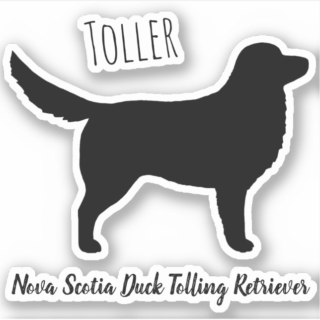 Pegatina Nueva Escocia Duck Tolever Silhouette (Anverso)