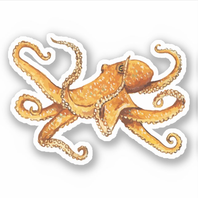 Pegatina Octopus Diseño Náutico (Anverso)
