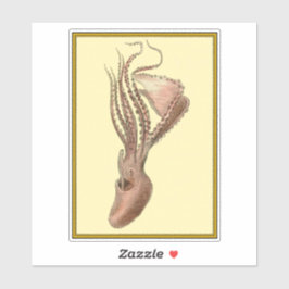 Pegatina Octopus vintage