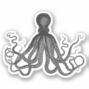 Pegatina Octopus vintage