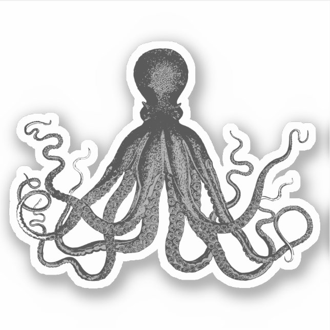 Pegatina Octopus vintage (Anverso)