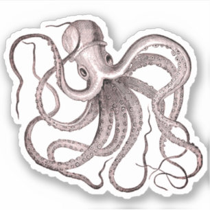 Pegatina Octopus vintage