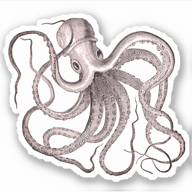 Pegatina Octopus vintage (Anverso)