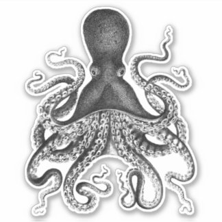 Pegatina Octopus vintage