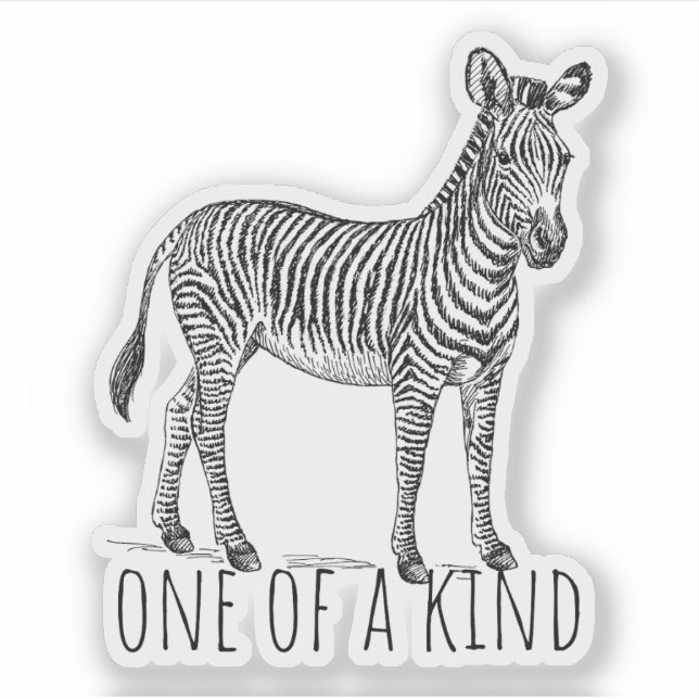 Pegatina One Of A Kind Unique Zebra (Anverso)