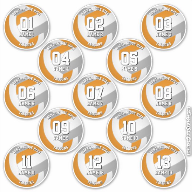 Pegatina orange gray volleyball team stickers 13 athletes (Anverso)