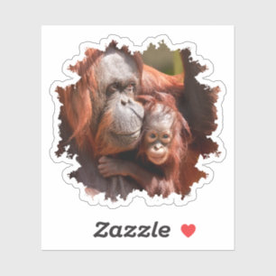 Pegatina Orangutan bebé sonriente en brazos de madre