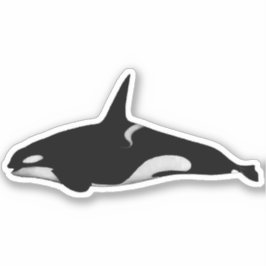 PEGATINA ORCA WHALE
