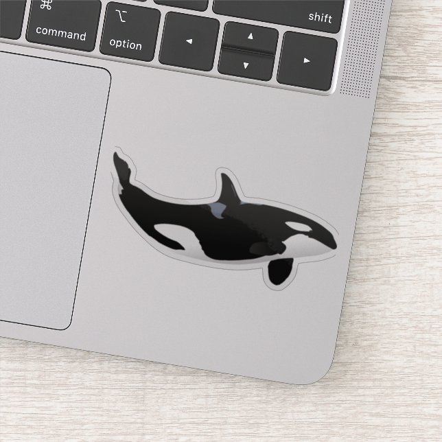 Pegatina Orca Whale (Detalle)