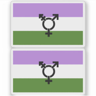 Pegatina Orgullo de género queer - queer