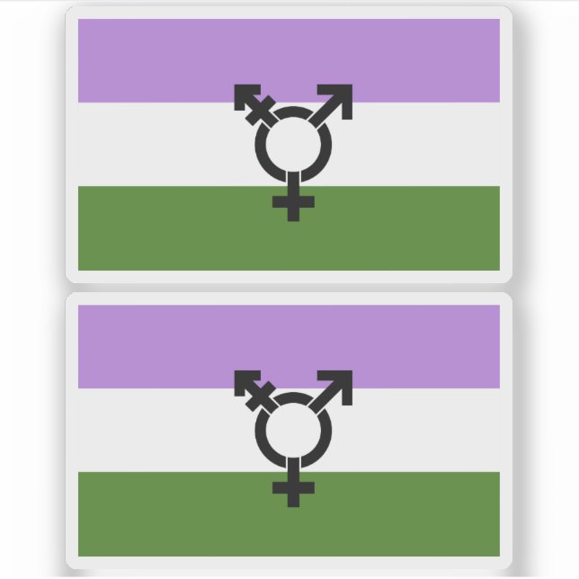 Pegatina Orgullo de género queer - queer (Anverso)